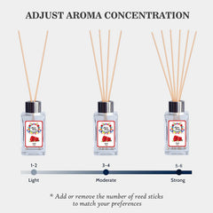 BYSON Aroma Valley Air Freshener Reed Diffuser Set - Image 4